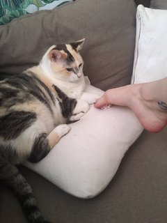 Flavia Sayuri feet photo 4