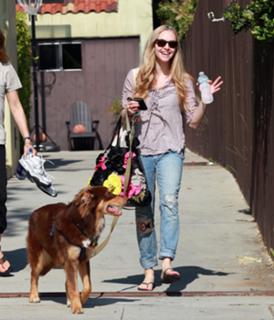 Amanda Seyfried feet photo thumbnail