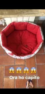 Valentina Vignali feet photo thumbnail