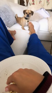 Nina Agdal feet photo thumbnail