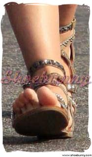 Sophia Bush feet photo thumbnail