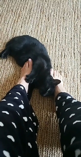 Lívia Andrade feet photo thumbnail