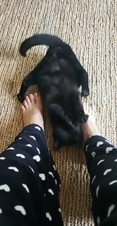 Lívia Andrade feet photo thumbnail