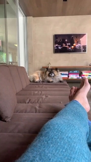 Chelsea Handler feet photo thumbnail