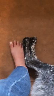Adriene Mishler feet photo thumbnail