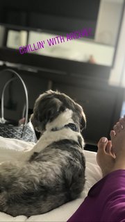 Roselyn Sanchez feet photo thumbnail
