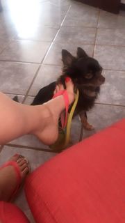 Alaine Crissiê feet photo thumbnail