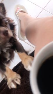Alaine Crissiê feet photo thumbnail