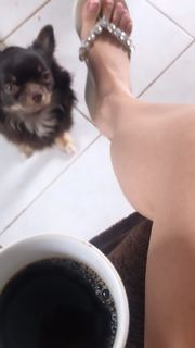 Alaine Crissiê feet photo thumbnail