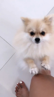 Alia Shelesh feet photo thumbnail