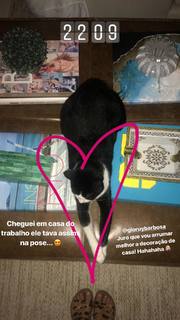 Marina Ruy Barbosa feet photo thumbnail