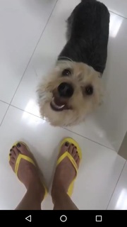 Ana Hickmann feet photo thumbnail