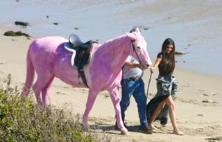 Selena Gomez feet photo thumbnail