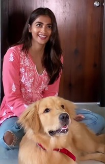 Pooja Hegde feet photo thumbnail