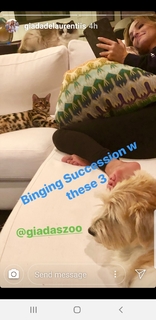 Giada De Laurentiis feet photo thumbnail