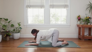 Adriene Mishler feet photo thumbnail