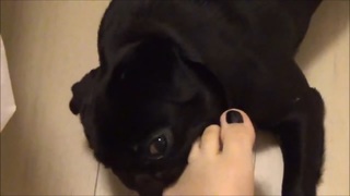 Kéfera Buchmann feet photo thumbnail