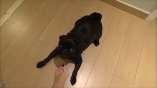 Kéfera Buchmann feet photo thumbnail