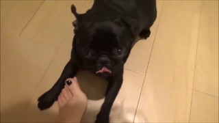 Kéfera Buchmann feet photo thumbnail