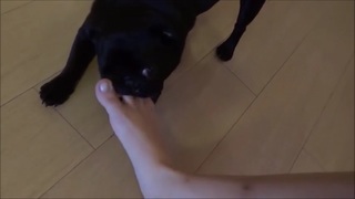 Kéfera Buchmann feet photo thumbnail