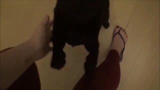 Kéfera Buchmann feet photo thumbnail