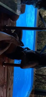 Pooja Hegde feet photo thumbnail