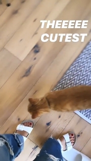 Ashley Madekwe feet photo thumbnail