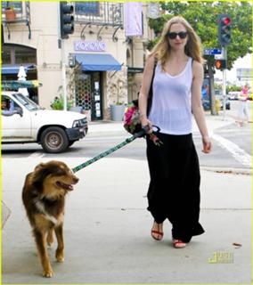 Amanda Seyfried feet photo thumbnail