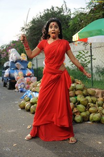 Shriya Saran feet photo thumbnail