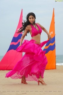 Shriya Saran feet photo thumbnail