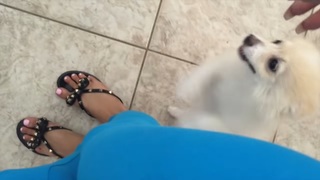 Alia Shelesh feet photo thumbnail