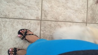 Alia Shelesh feet photo thumbnail