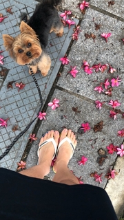 Franciely Freduzeski feet photo thumbnail