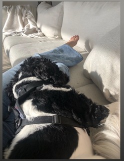 Olivia Munn feet photo thumbnail