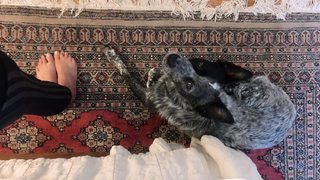 Adriene Mishler feet photo thumbnail