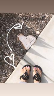 Vida Guerra feet photo thumbnail