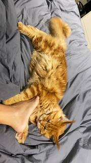 Carolina Dieckmann feet photo thumbnail