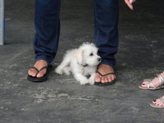 Jordin Sparks feet photo thumbnail