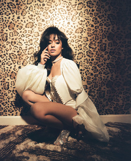Camila Cabello feet photo thumbnail