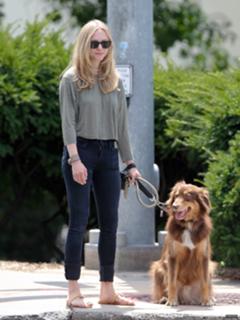 Amanda Seyfried feet photo thumbnail
