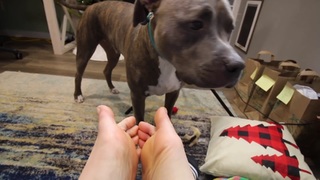 Rachel Ballinger feet photo thumbnail
