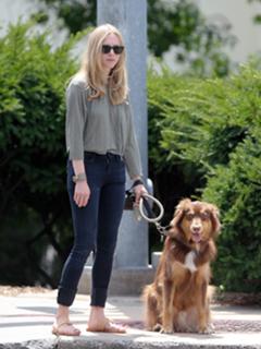 Amanda Seyfried feet photo thumbnail
