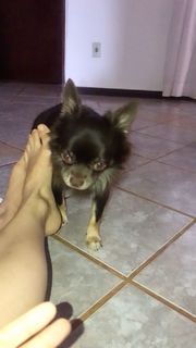 Alaine Crissiê feet photo thumbnail