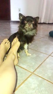 Alaine Crissiê feet photo thumbnail