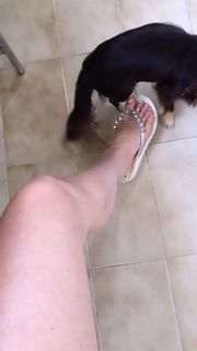 Alaine Crissiê feet photo thumbnail