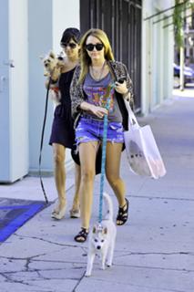 Miley Cyrus feet photo thumbnail
