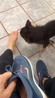 Alaine Crissiê feet photo thumbnail