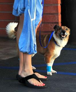 Hilary Swank feet photo thumbnail