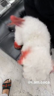 Latto feet photo thumbnail