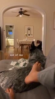 Adriene Mishler feet photo thumbnail